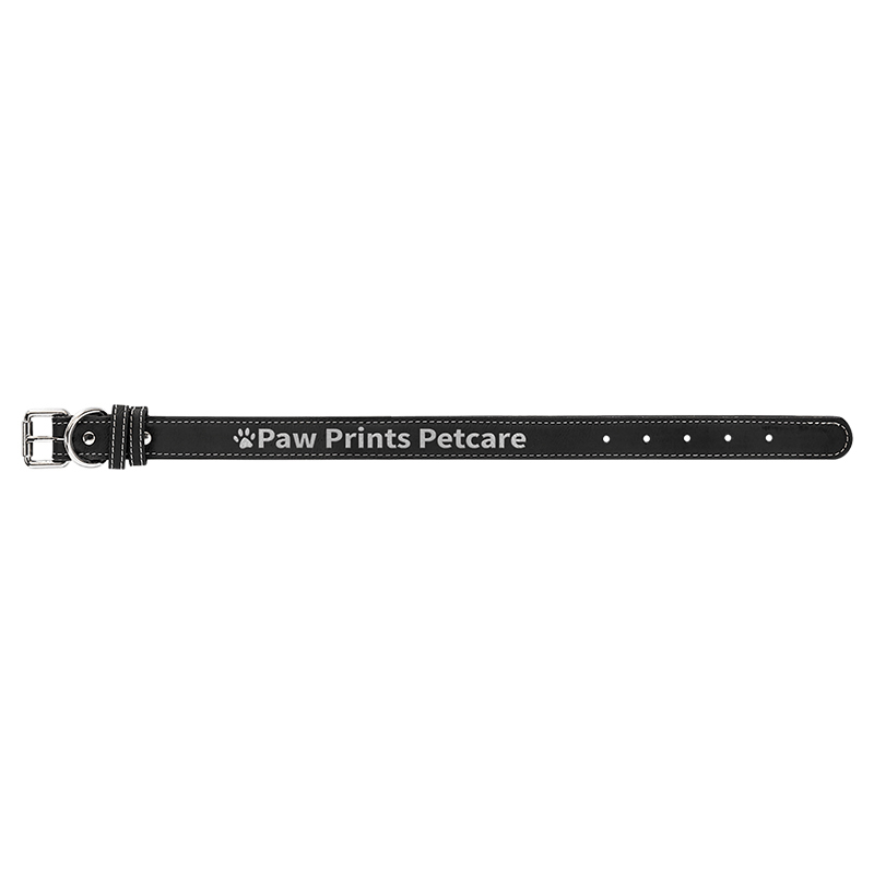 19' x 1' Tierhalsbänder aus Kunstleder 19' x 1' Tierhalsbänder aus Kunstleder